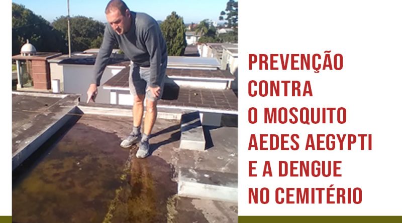 Prevenção contra o mosquito Aedes aegypti e a dengue no cemitério