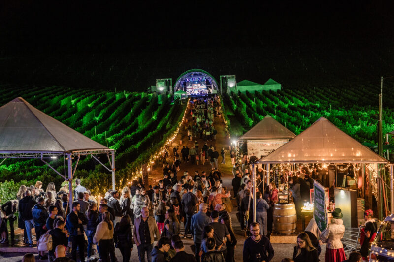 Natal nos Vinhedos reúne mais de 35 experiências enogastronômicas a partir desta sexta-feira