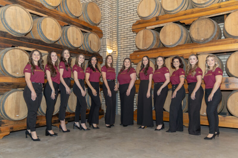 Fenavinho apresenta candidatas à corte histórica dos 60 anos