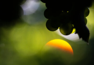 Foto: Lauro Grivot/Divulgação