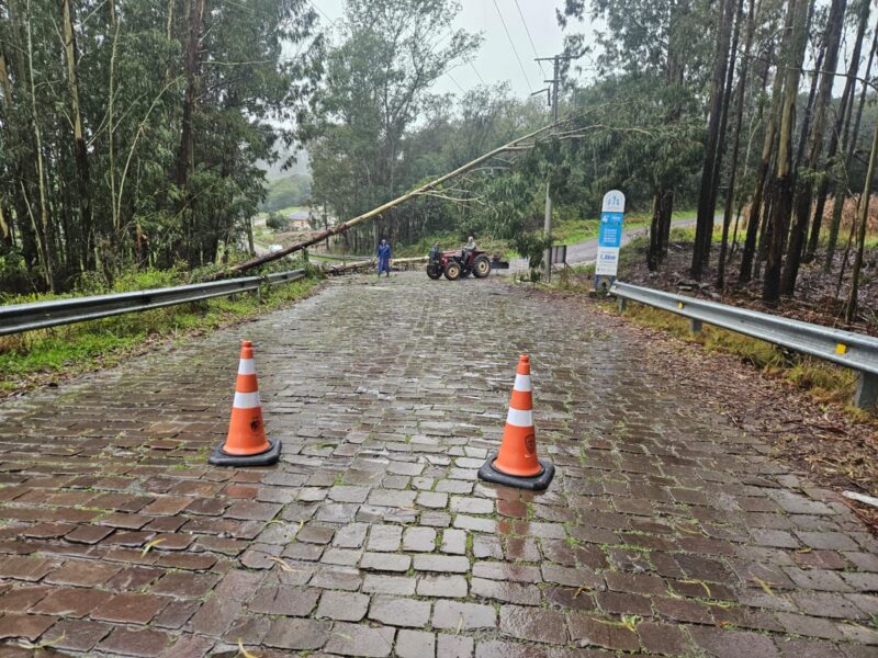 Procon orienta consumidores para registros por falta de energia e água após temporal